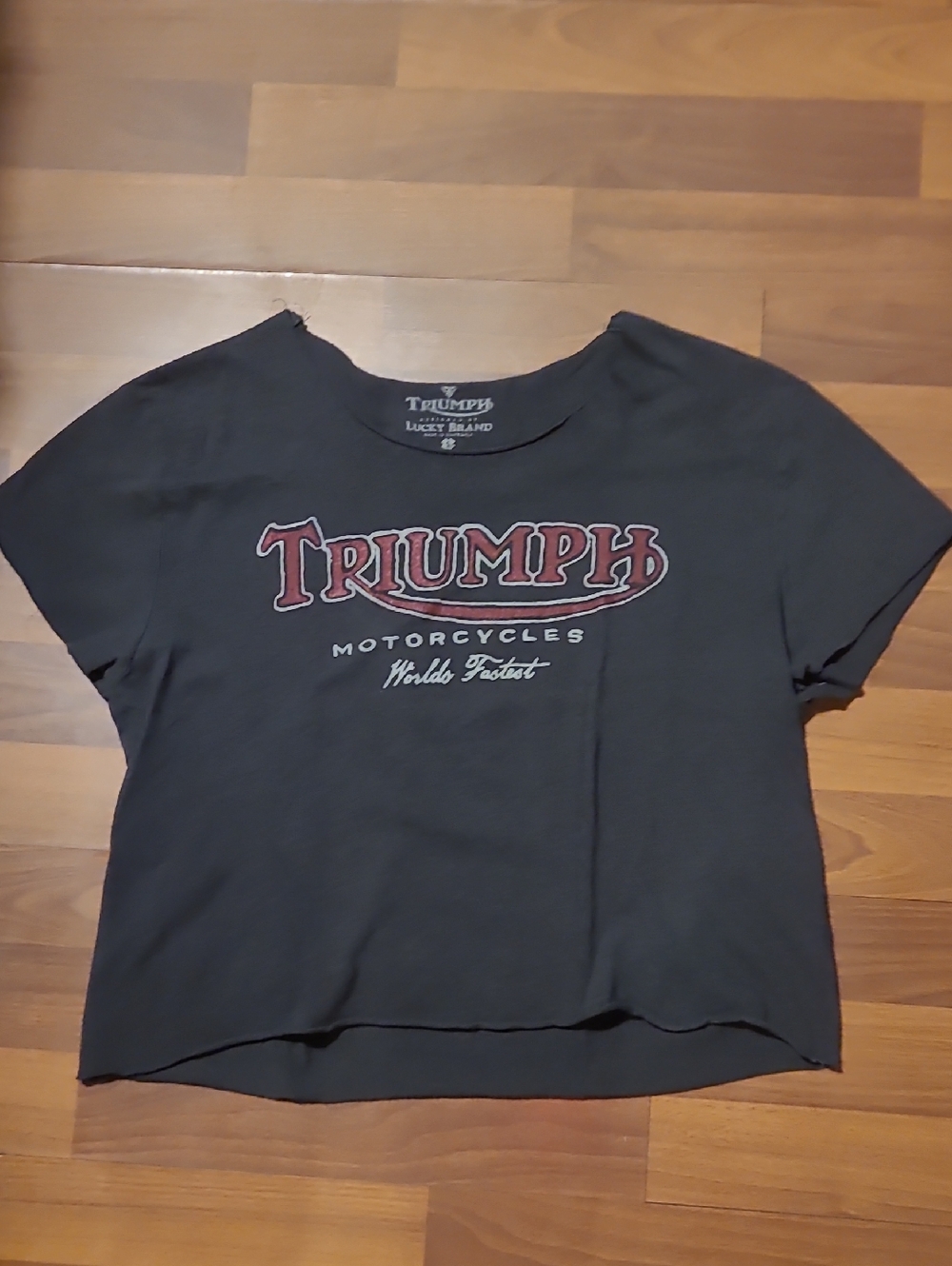 Triumph Purple Ish Grey Tee with Red Logo
